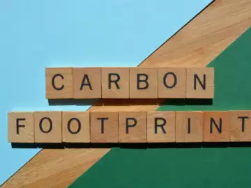 Carbon Footprint, words in wooden alphabet letters isolated on colourful background