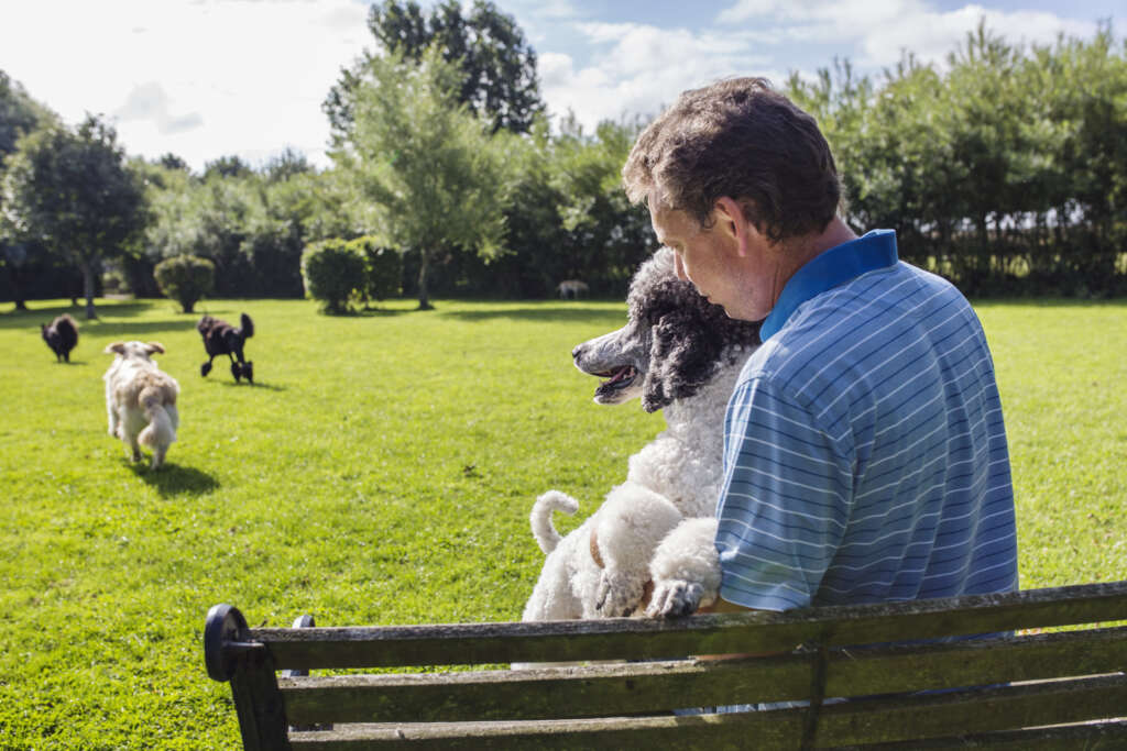 Article about stealing fitness by changing daily activities such as using the stairs instead of lifts. Image shows a man watching his dog walk rather than walking himself